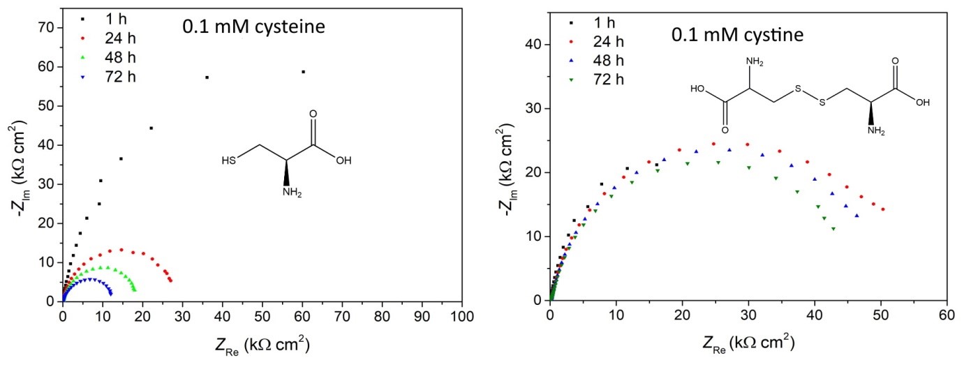 cystine and cysteine as green corrosion inhibitors